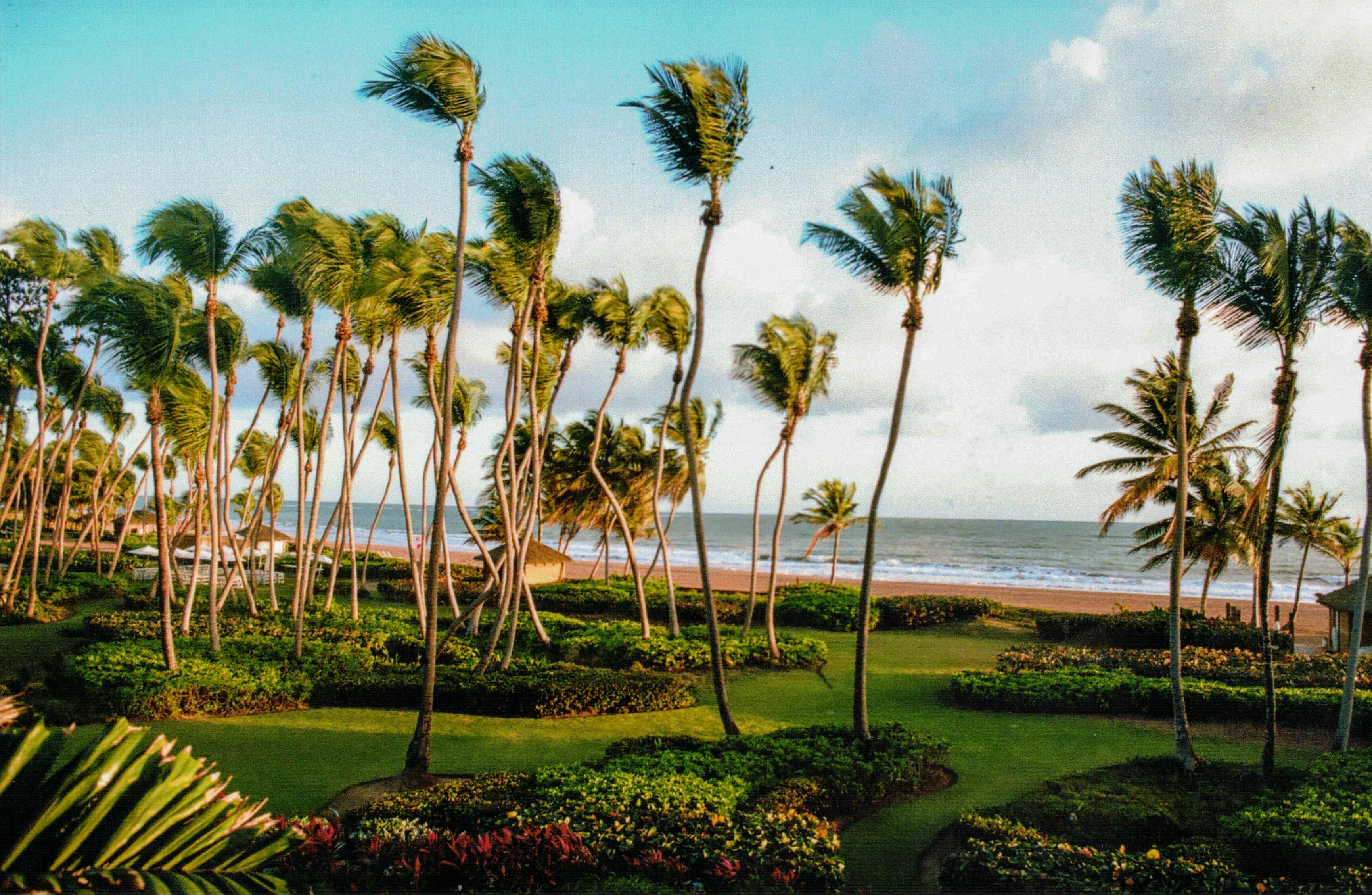 Residencias de lujo frente al mar en Puerto Rico